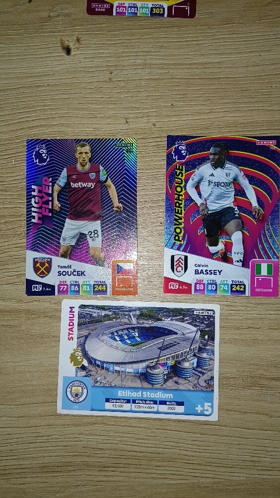 Adrelanyn XL 24/25 PL rare cards - 8