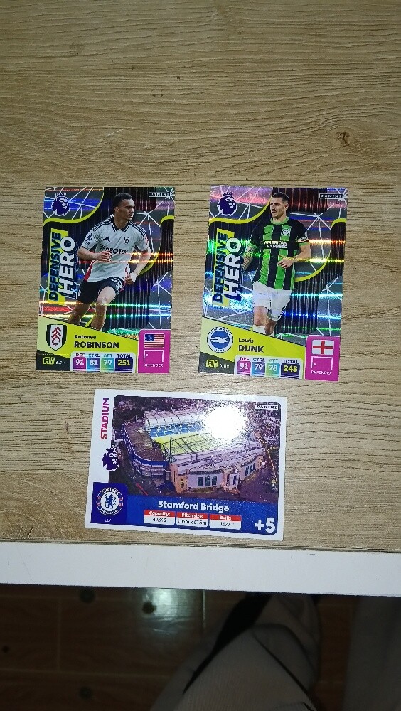 Adrelanyn XL 24/25 PL rare cards - 7