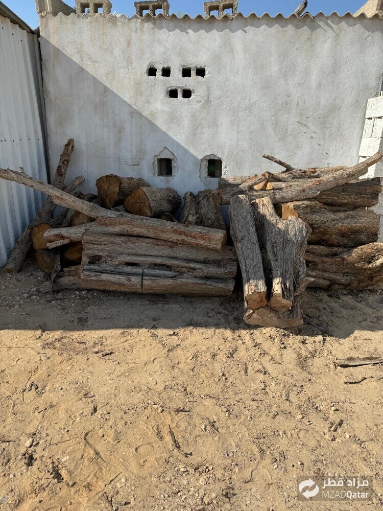 نقوم بتقطيع الاشجار والنخيل - 1