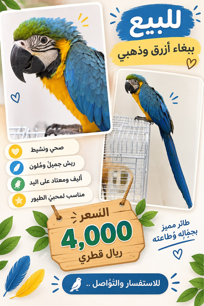 للبيع - 1