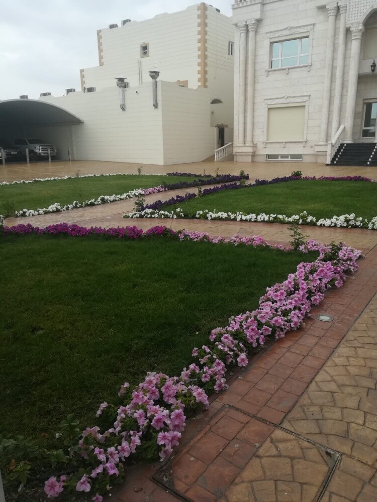 زراعة العشب - 2