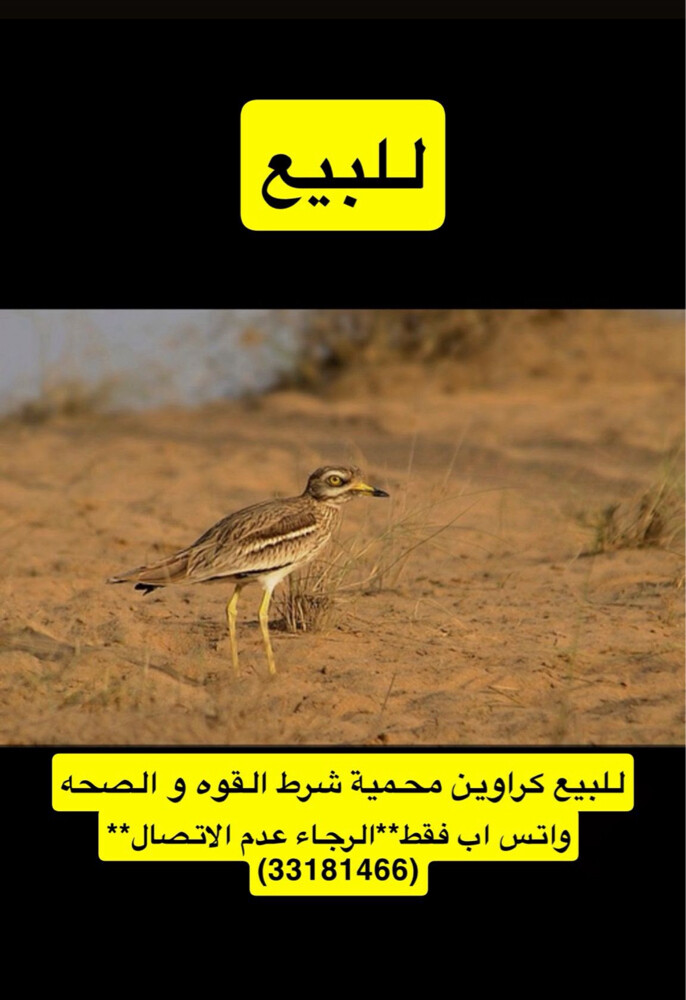 كراوين محمية للبيع - 1
