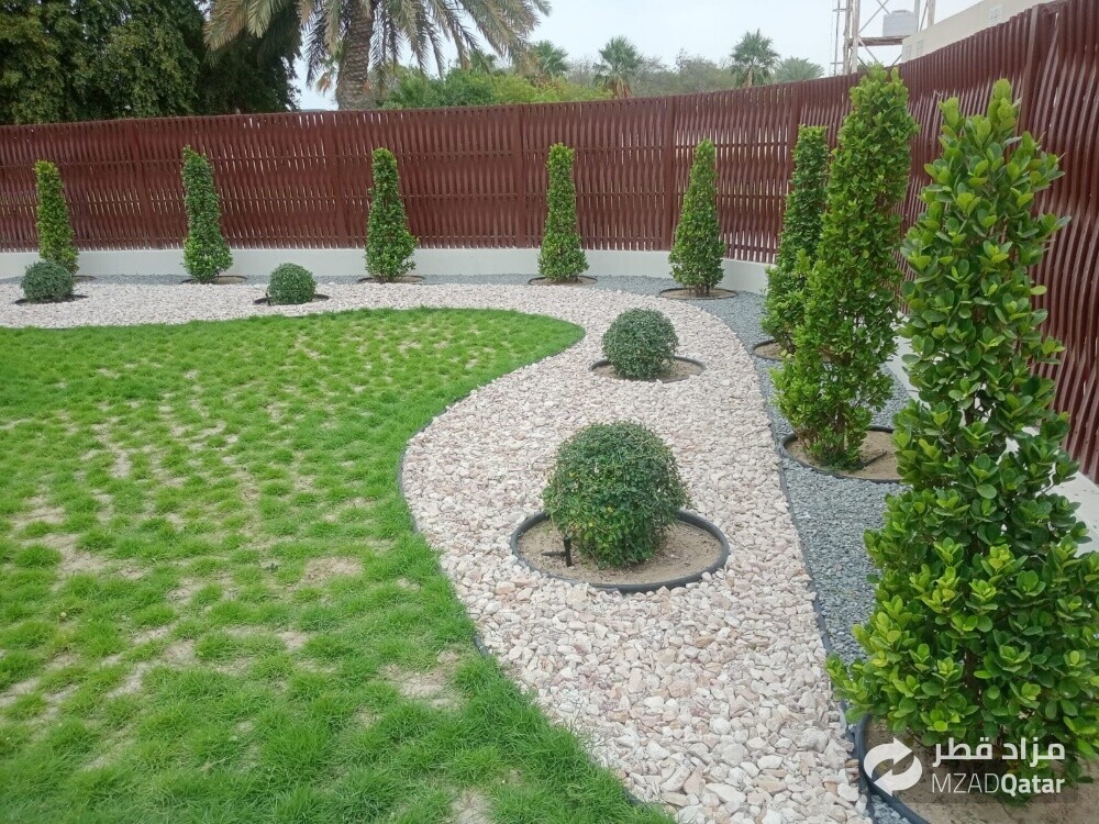 نباتات خضراء - 1
