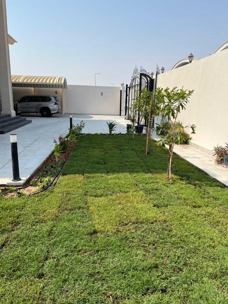 نباتات خضراء - 8