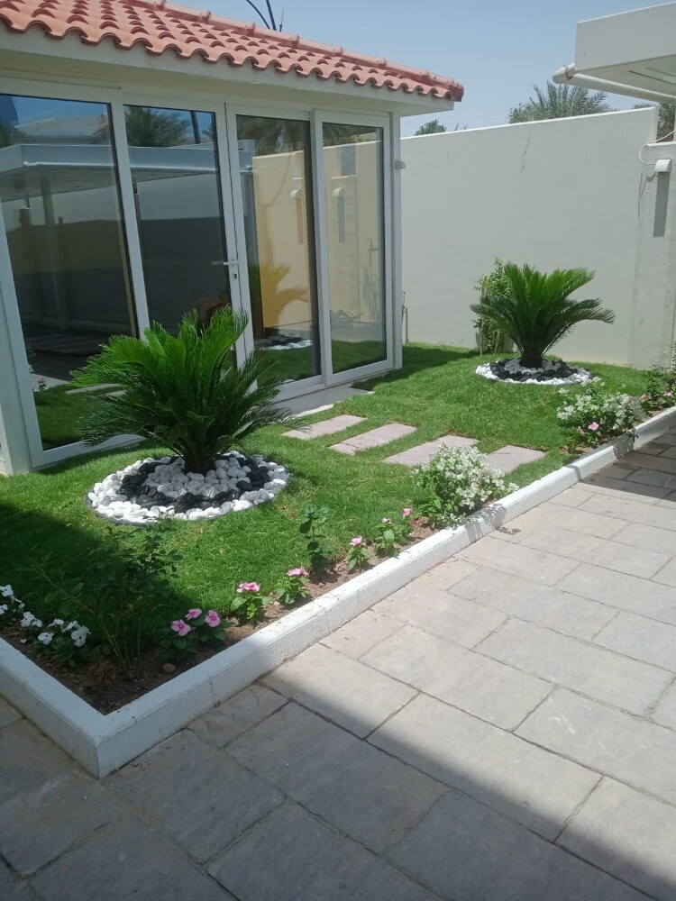 نباتات خضراء - 4