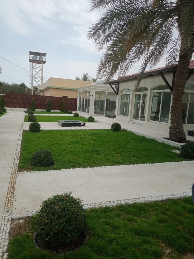 نباتات خضراء - 3