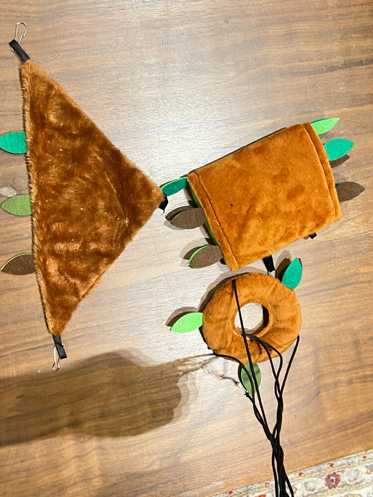 2 sugar gliders and free toys - 4