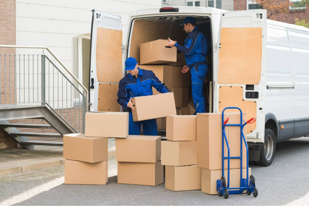 Food transport worker needed - 1
