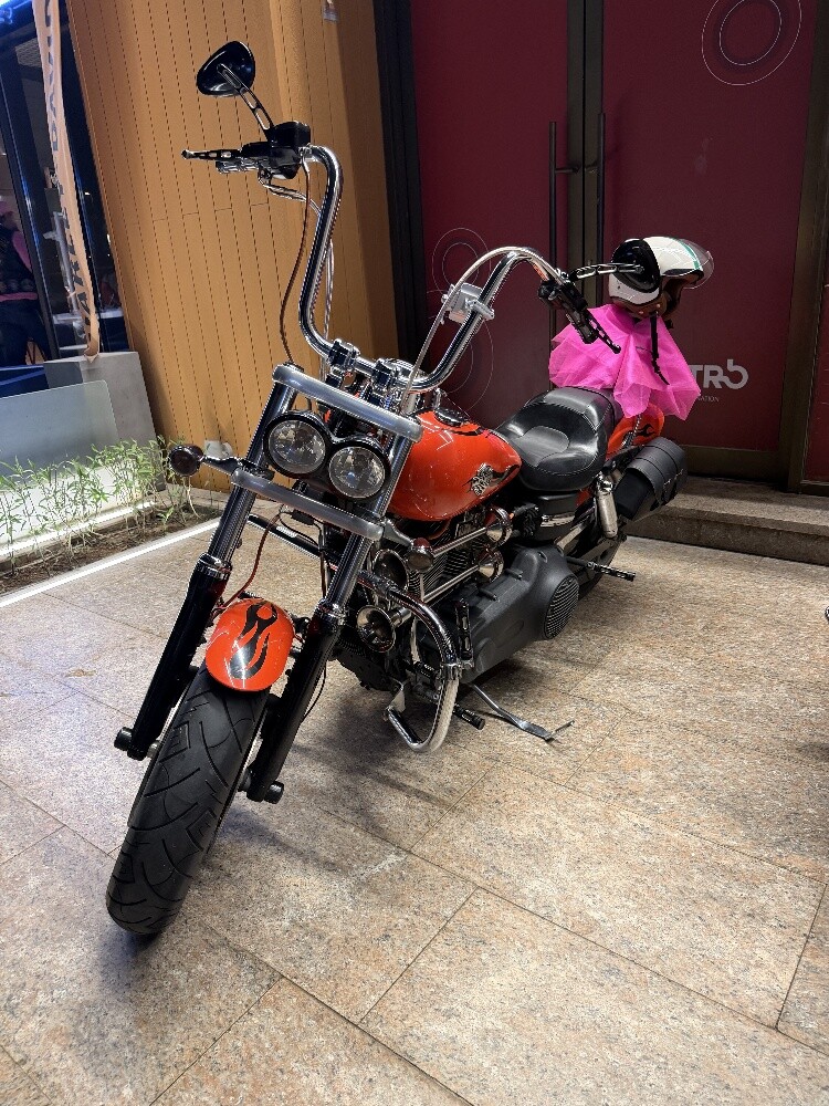 harley davidson fatboob 2012 - 5