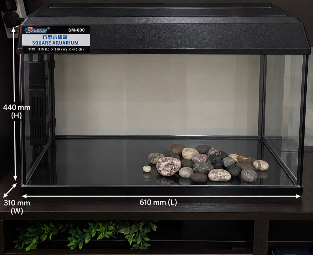 fish Aquarium  - 2
