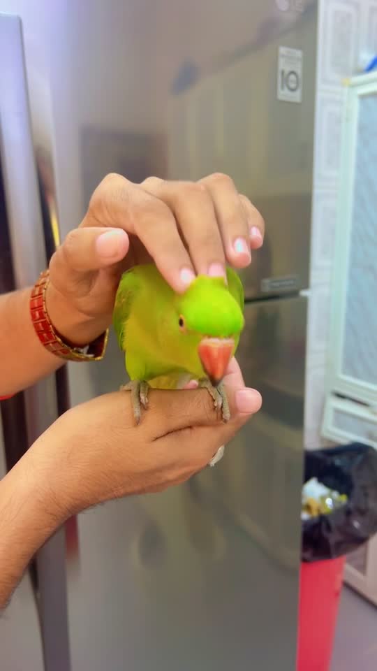 friendly 6 month baby - 1