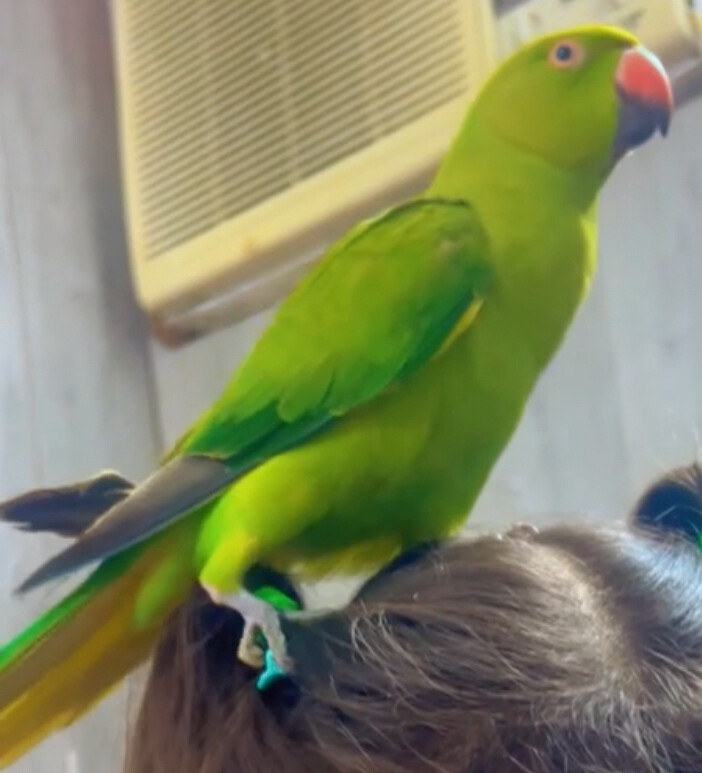 friendly 6 month baby - 3