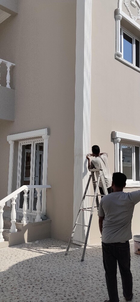 Professional Painting Works - 3