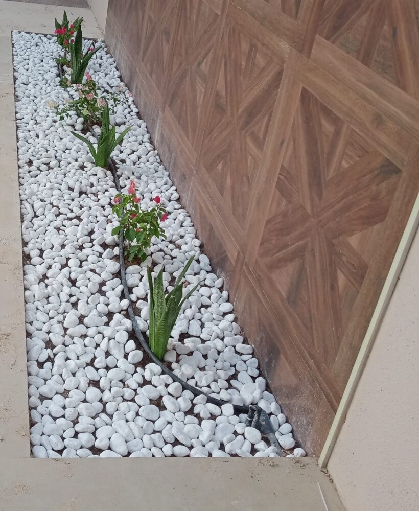 زهور طبيعيه - 2