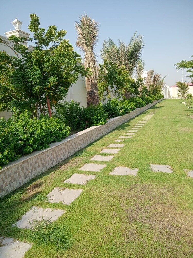 زهور طبيعيه - 5
