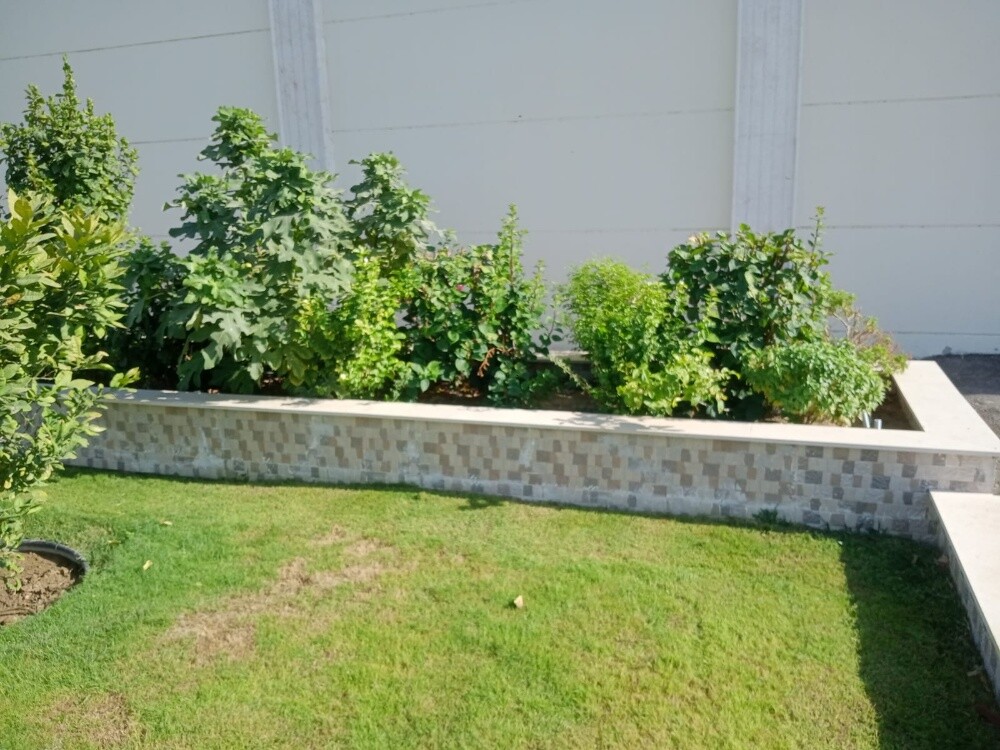 زهور طبيعيه - 4