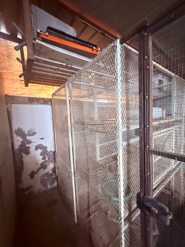 6 - DOORS BIRD CAGE - 2