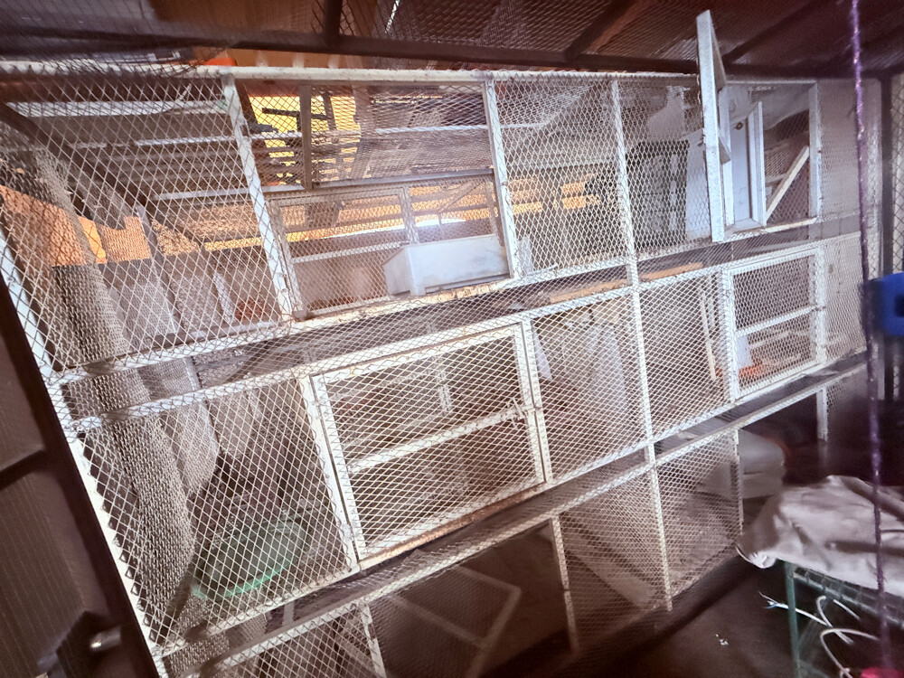 6 - DOORS BIRD CAGE - 1