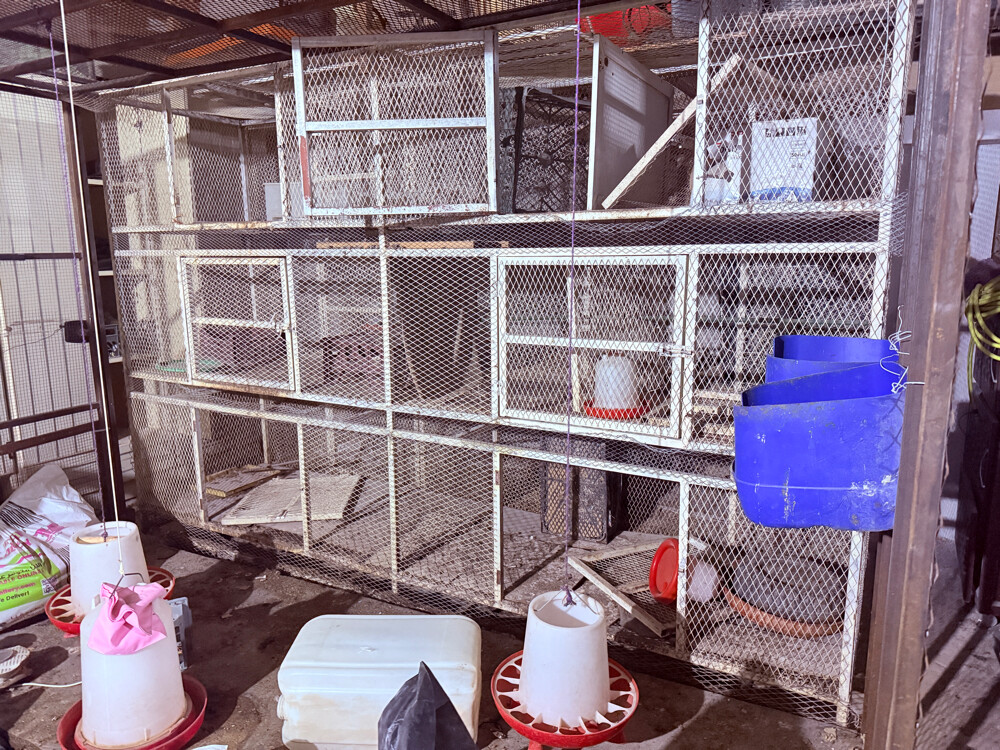 6 - DOORS BIRD CAGE - 5
