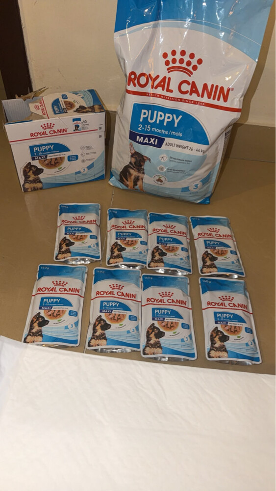 Puppy dog food and dry food - 2