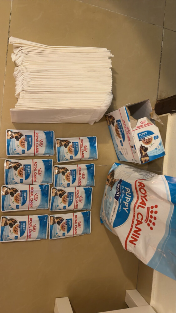 Puppy dog food and dry food - 1