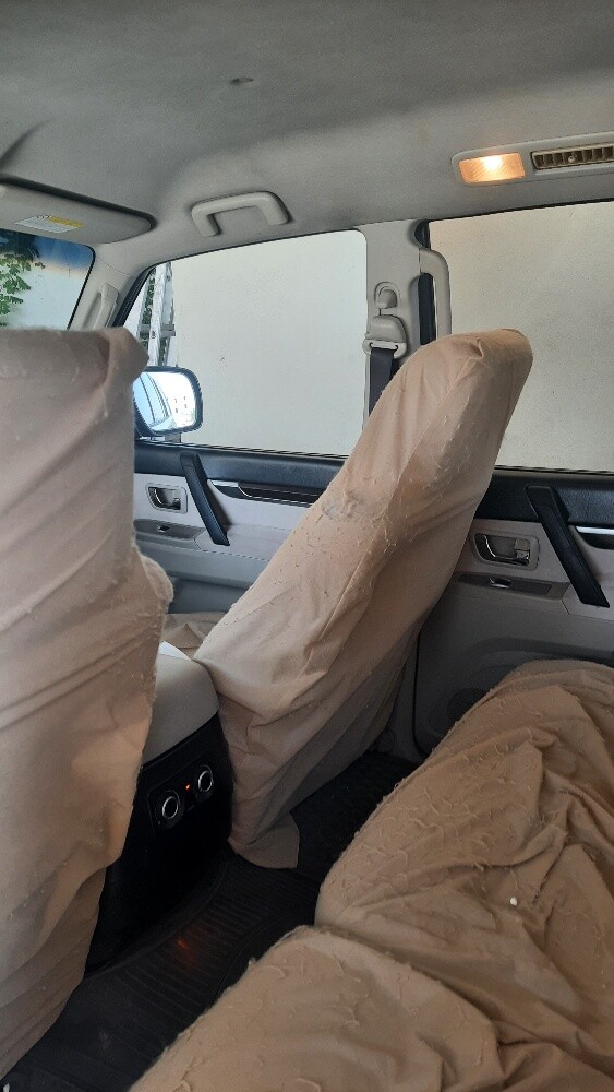 باجيرو - 20