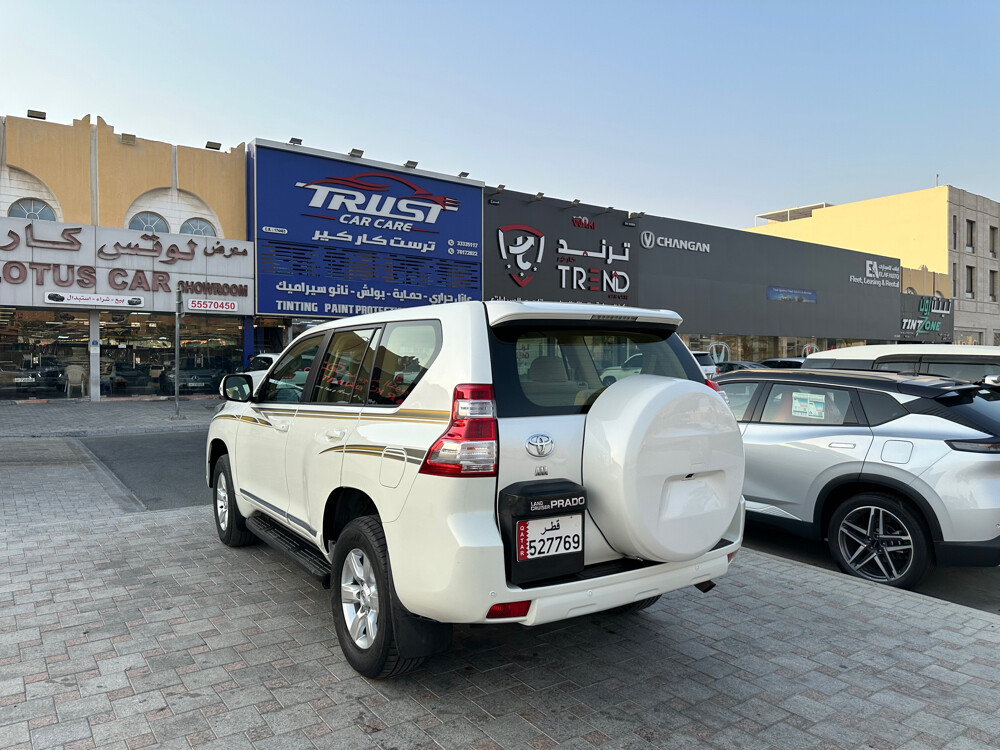 prado 2017 v6 - 7