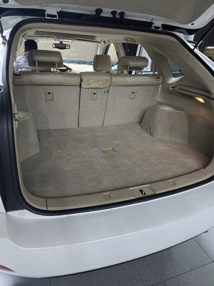 Lexus RX for sale - 8