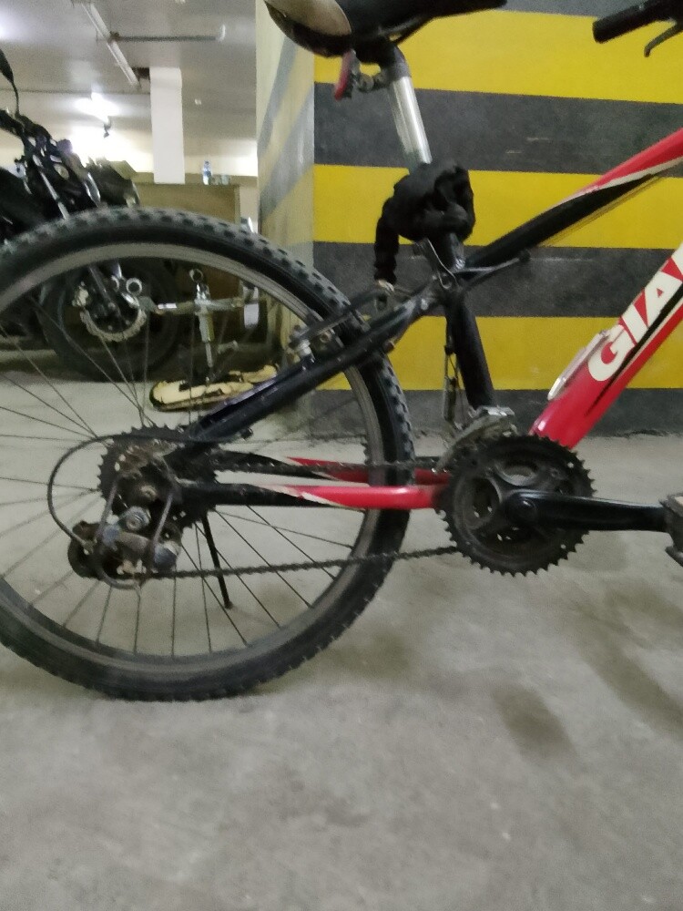 by cycle - 5