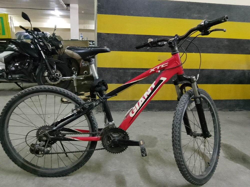 by cycle - 3