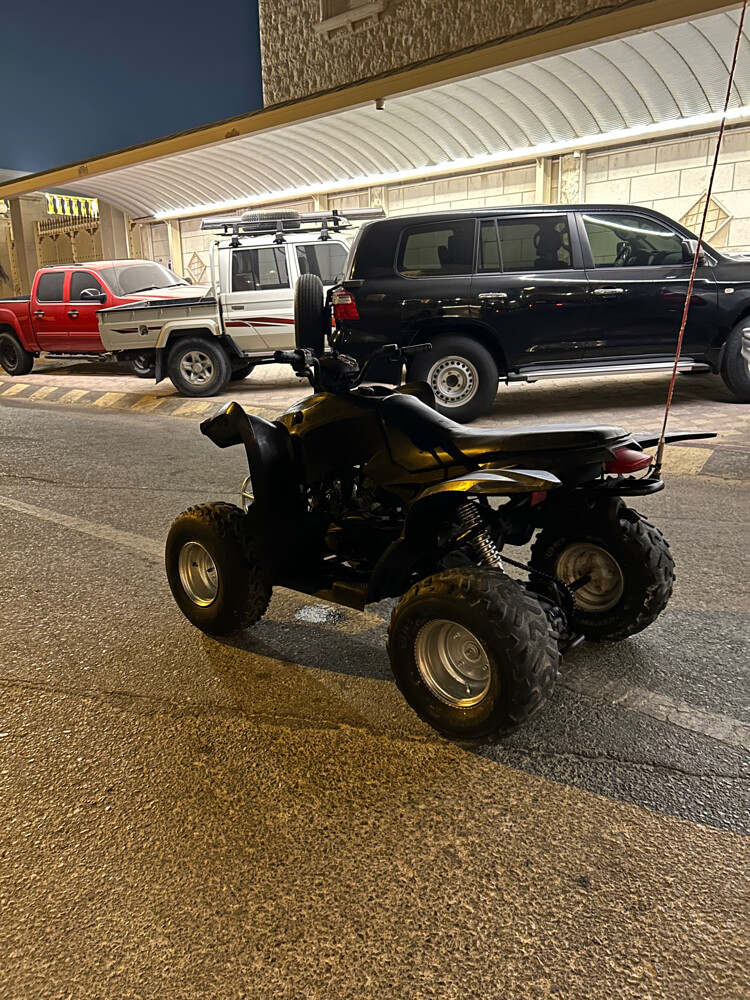 Cobra 110cc - 4