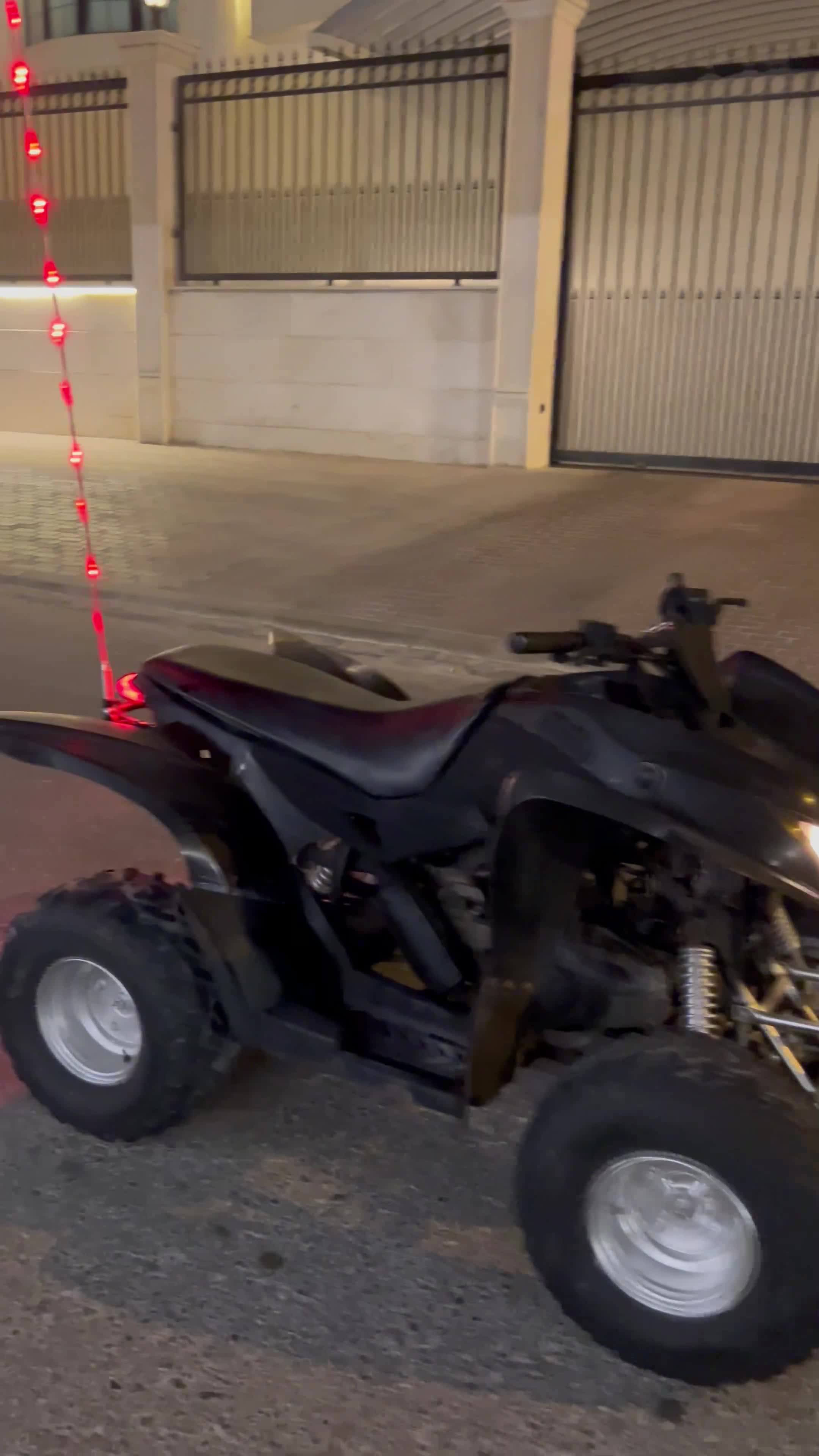 Cobra 110cc - 5