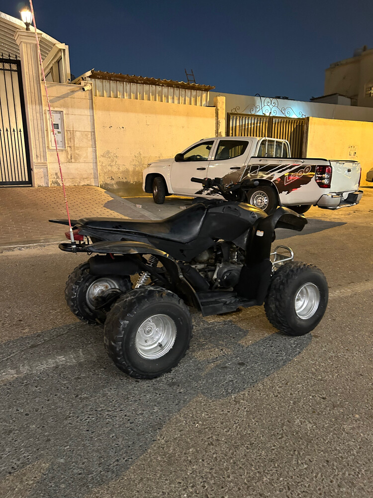 Cobra 110cc - 2