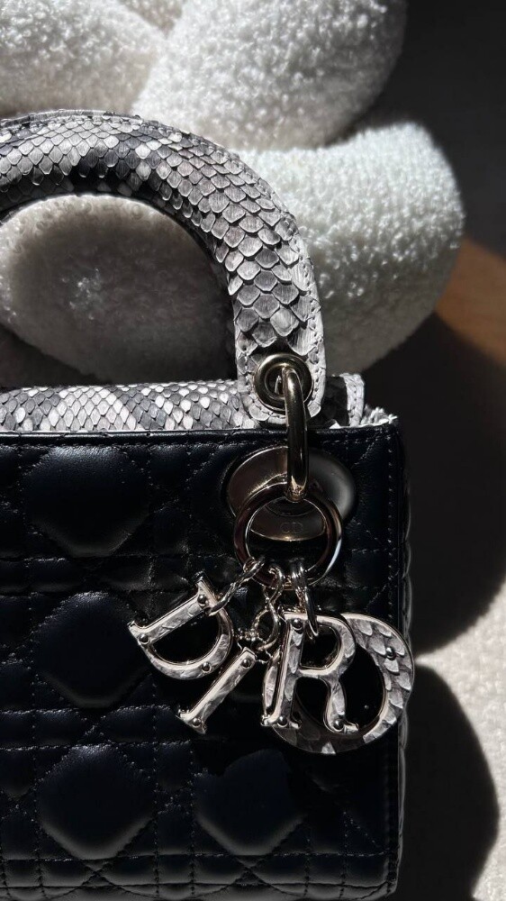 Christian Dior Mini Lady Dior Bag - 7
