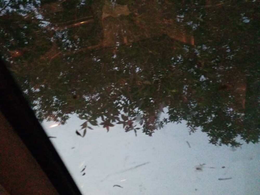 للبيع - 2