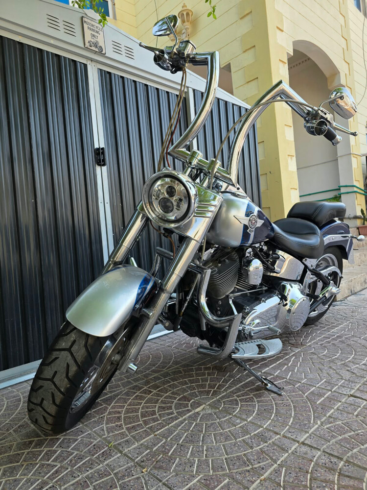 Fat Boy 2010 - 1