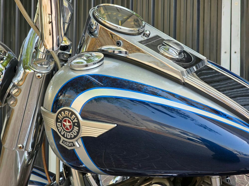 Fat Boy 2010 - 5