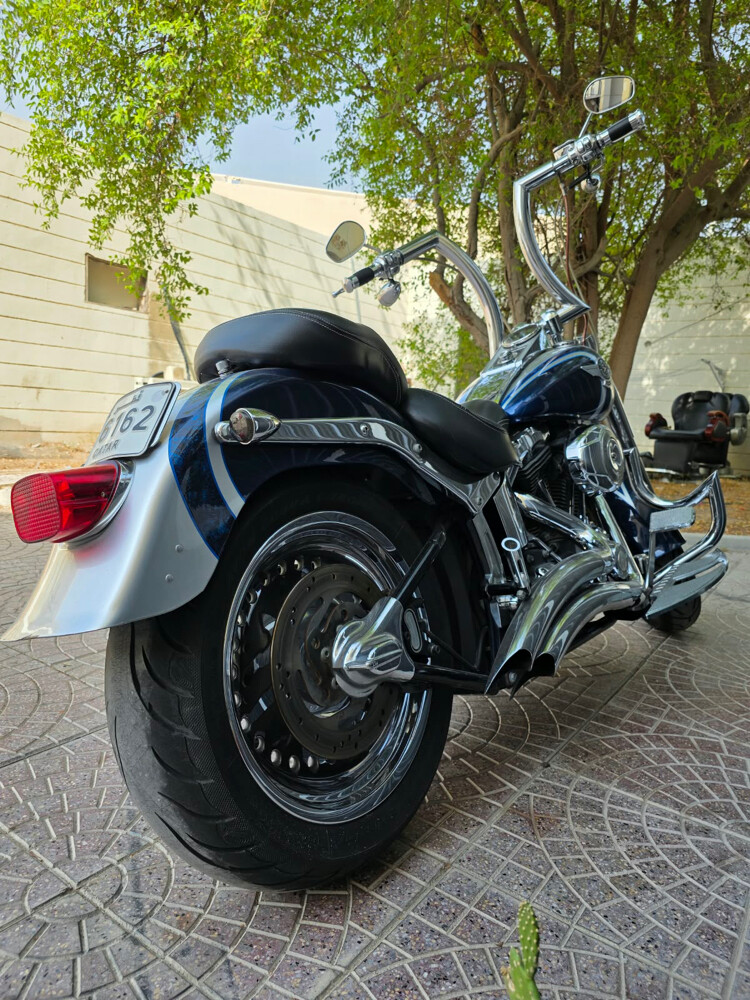 Fat Boy 2010 - 3