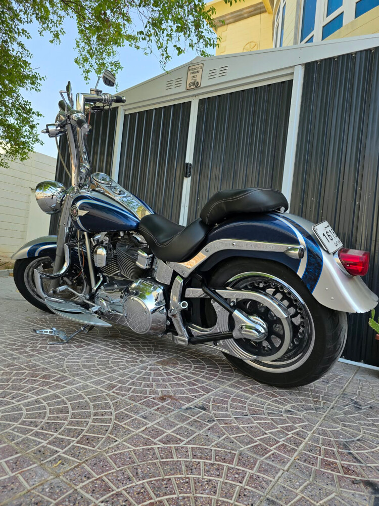 Fat Boy 2010 - 4