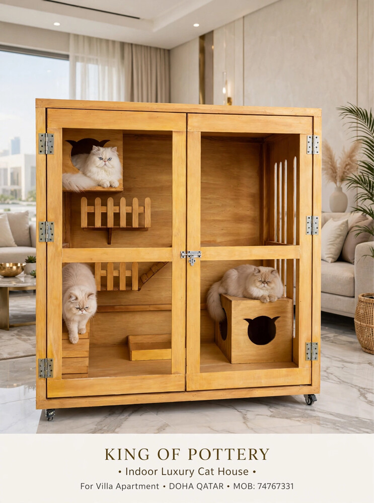 cat house  - 1