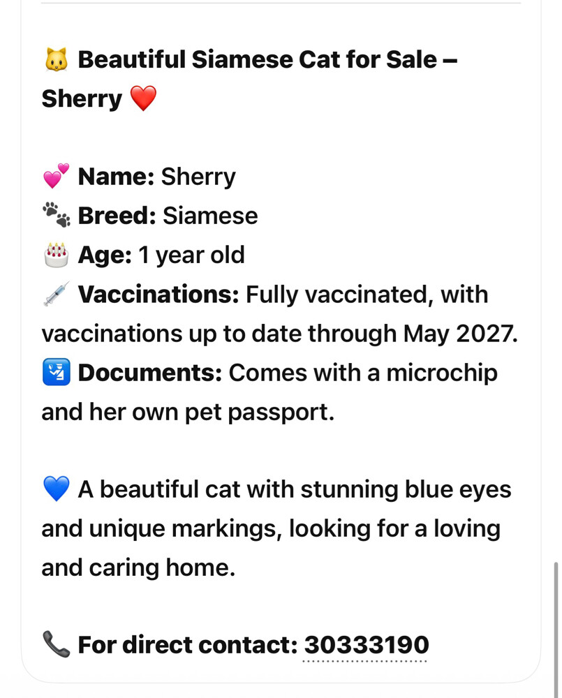 shery - 2