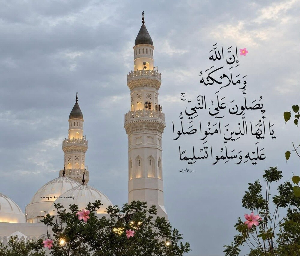 محاسب مصرى دوام جزئى - 2