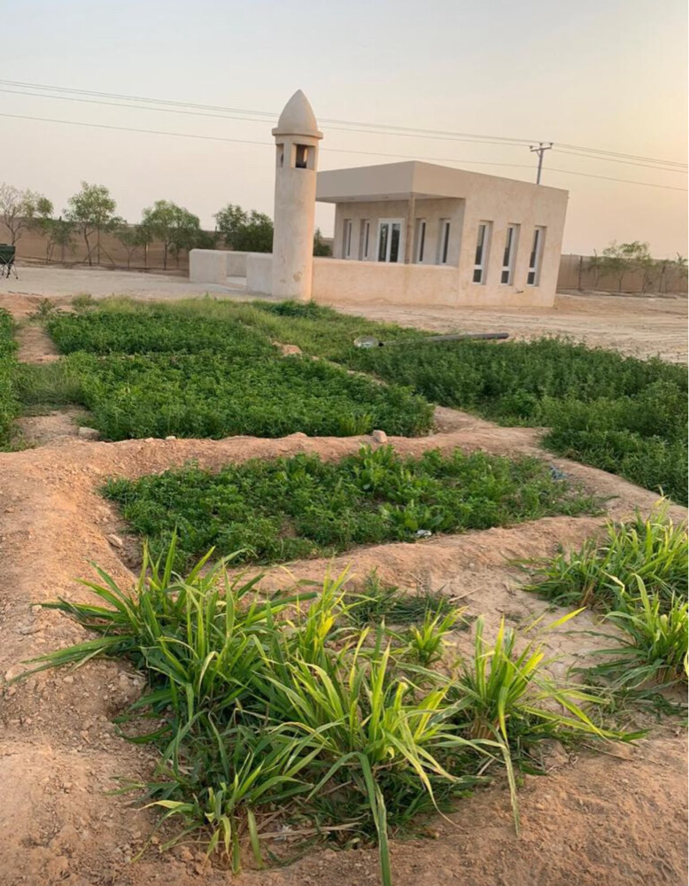تامر العطار - 1