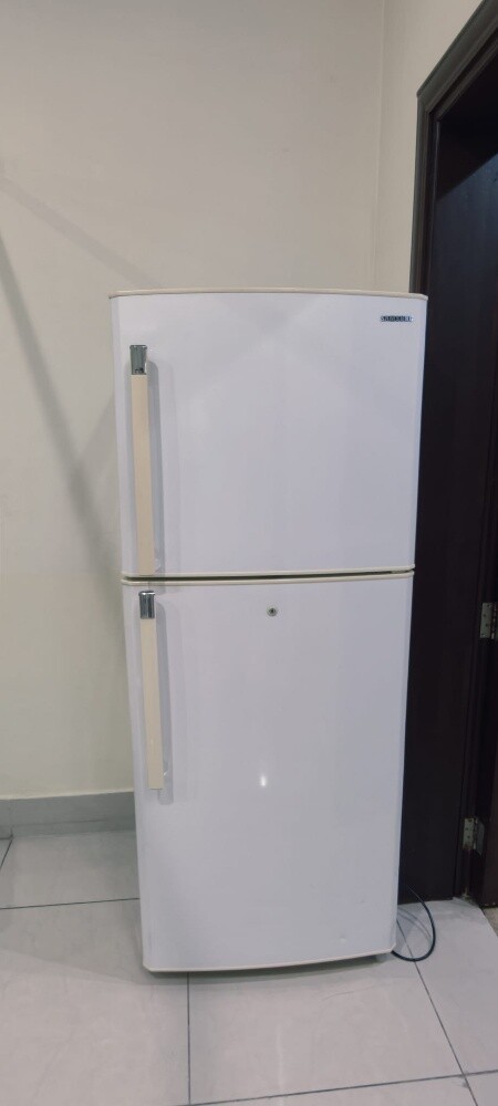 samsung fridge - 2