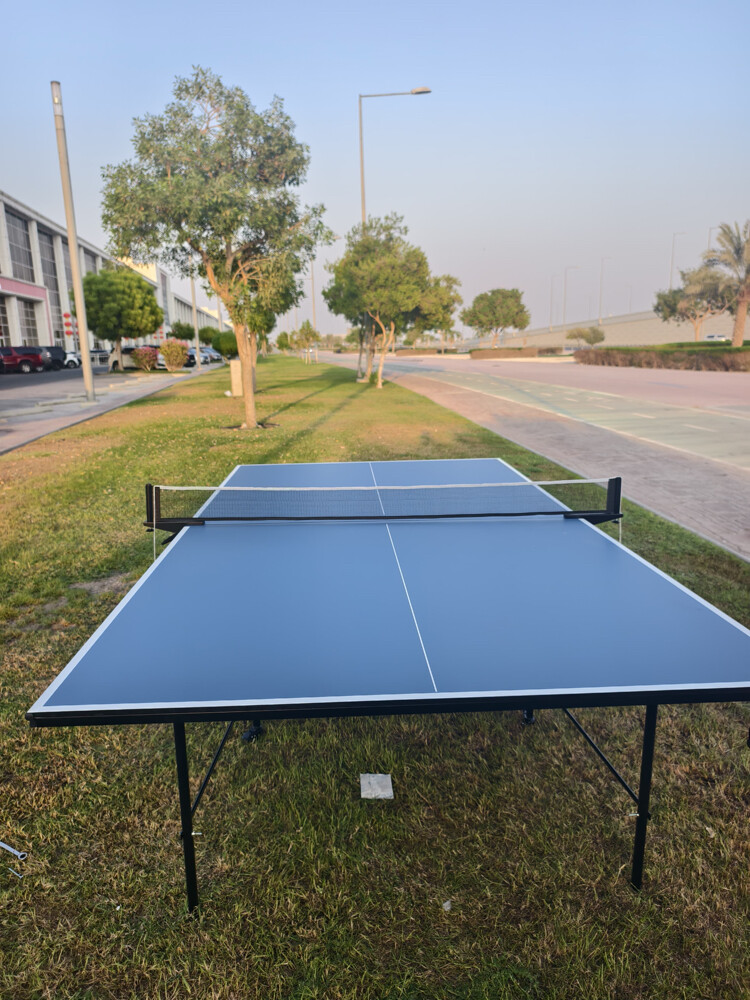 Tennis table  - 2