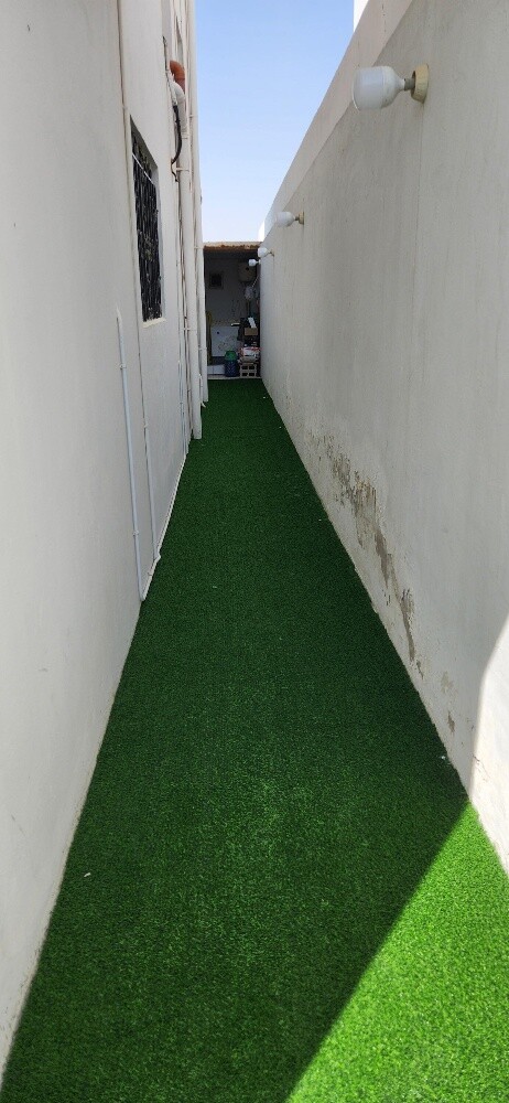 grass carpet, green carpet - 4