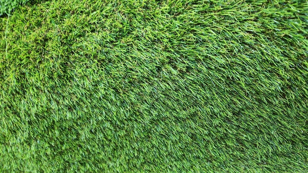 grass carpet - 1
