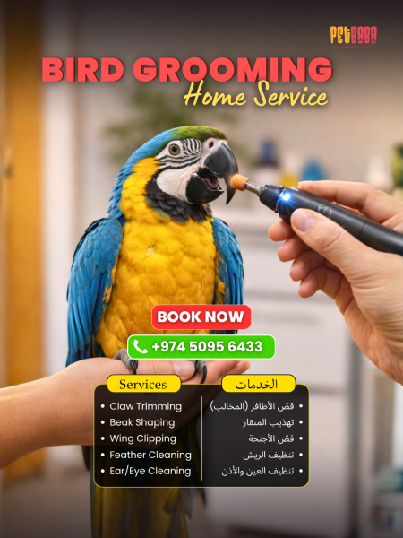 Bird Grooming Service - 1