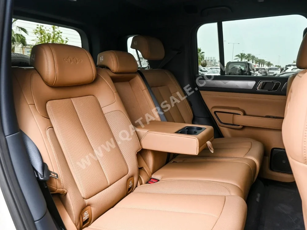 BYD Leopard 5 Plug-in Hybrid - 5