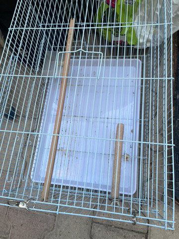 kage for birds - 2